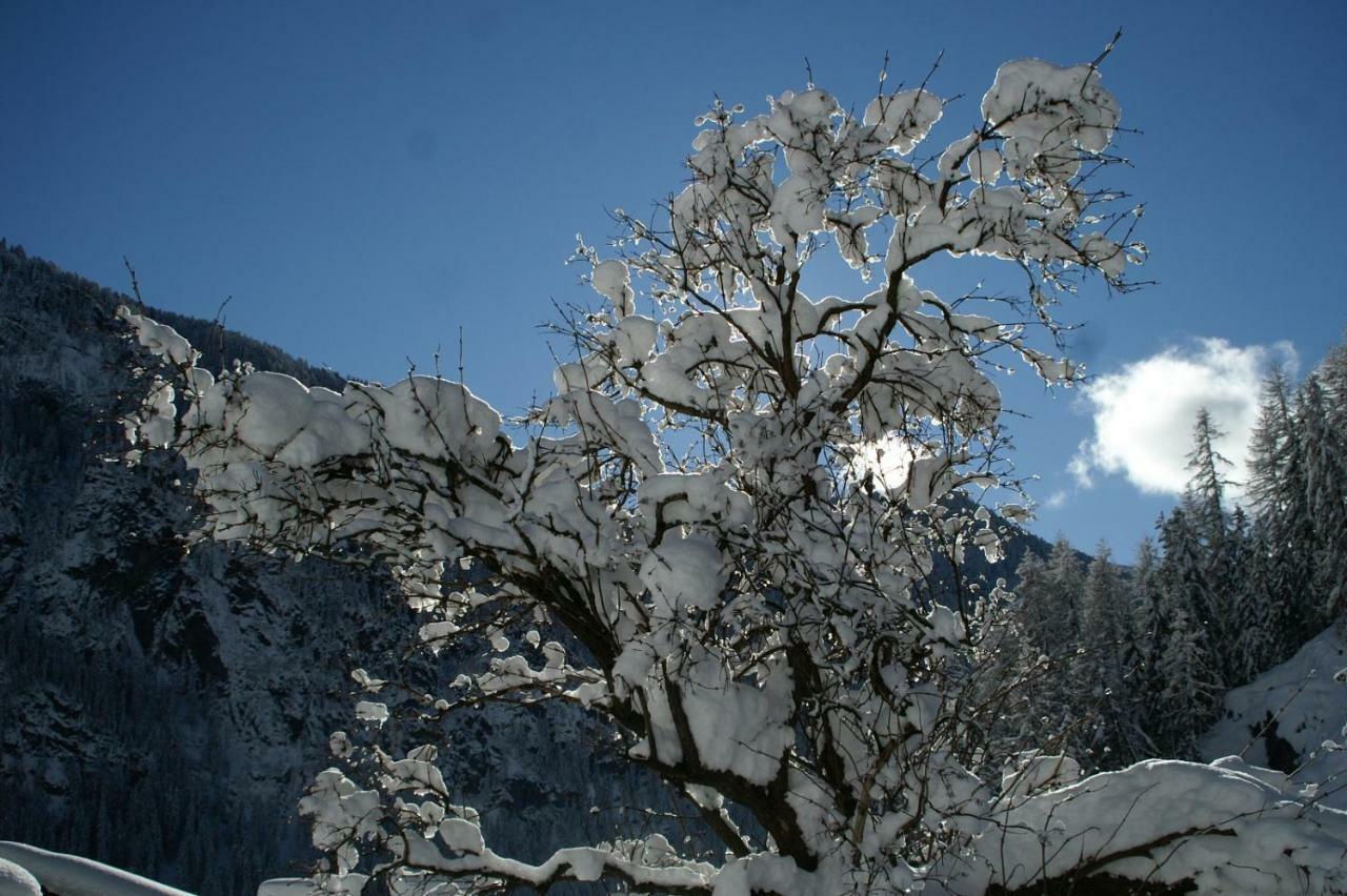 Appartamento Des Alpes 2 Canazei Esterno foto
